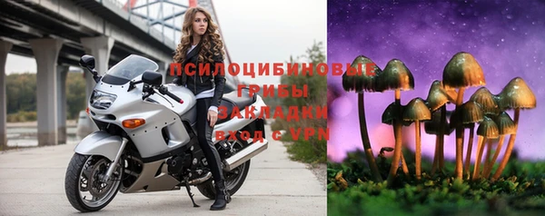трава Алексин