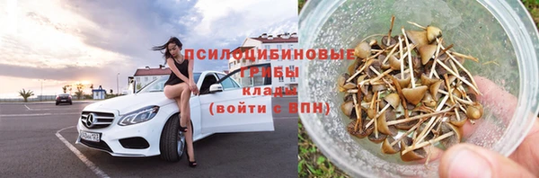 прущий лед Алексеевка