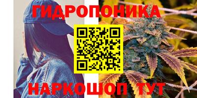 ALPHA PVP Гусев