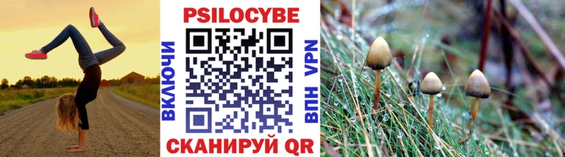 Галлюциногенные грибы Psilocybine cubensis закладки Саянск