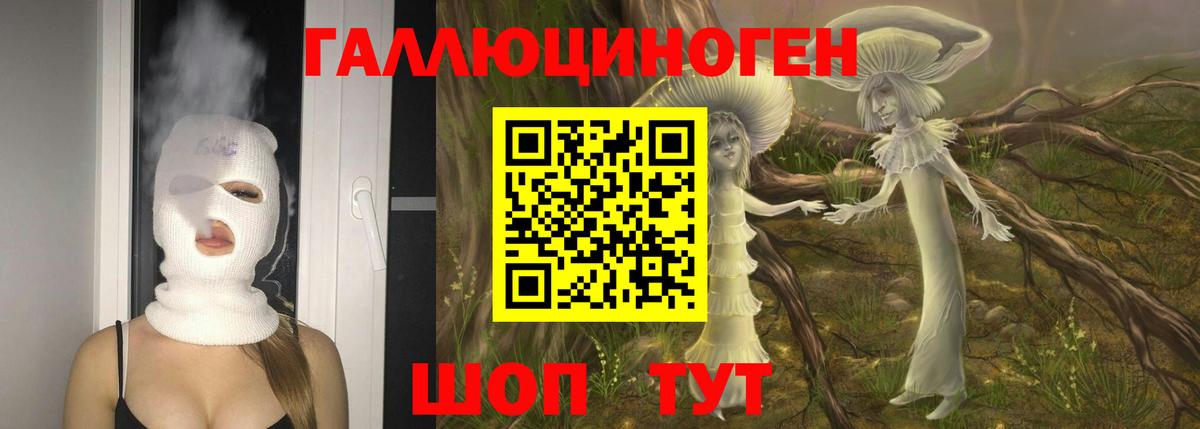 Саянск  Псилоцибиновые грибы Cubensis  Вход с VPN 